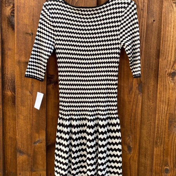 NWT Freshman 1996 Striped Sweater Dress - Picture 2 of 6